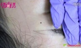 纹绣爆料视频大全最新,揭秘行业幕后真相与技巧解析